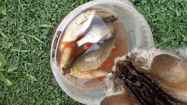 0d5d6e923279dbd842ce8a5f2cb37fe0