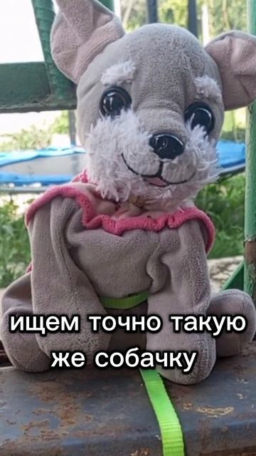 рекомендации мягкаяигрушка собака рек