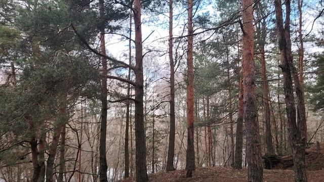 Придумать себе врага