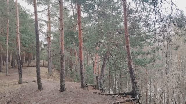 Придумать себе врага