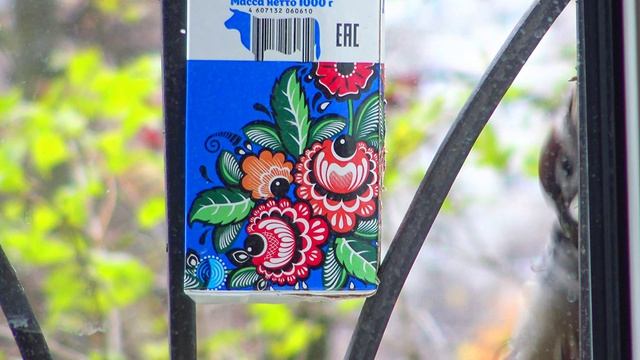 4Воробьи и синицы-финиш