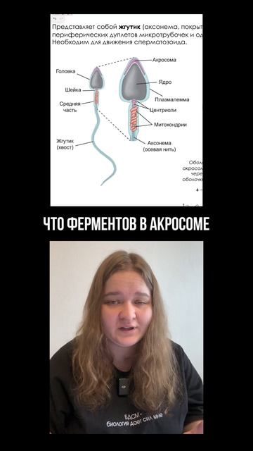 Материалы для подготовки к ЕГЭ на 90. Ссылка в профиле