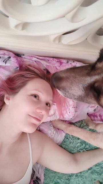 Питомцы по утрам