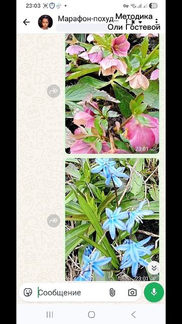 Марафон чат  Похудеть.
Марафон. Меню.