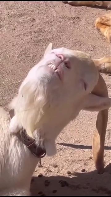 На чиле, на расслабоне