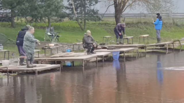 Светлые Горы Форель4 18.04.2026г.