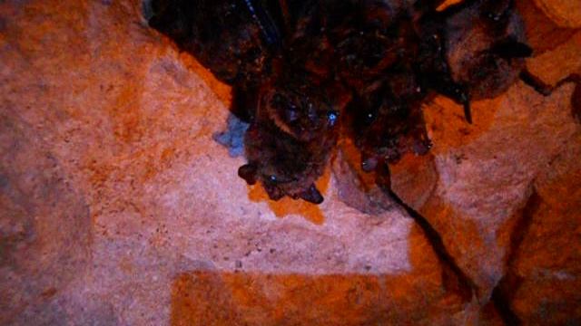 Bf3c41897ff0b33c0b85d160191aebf4