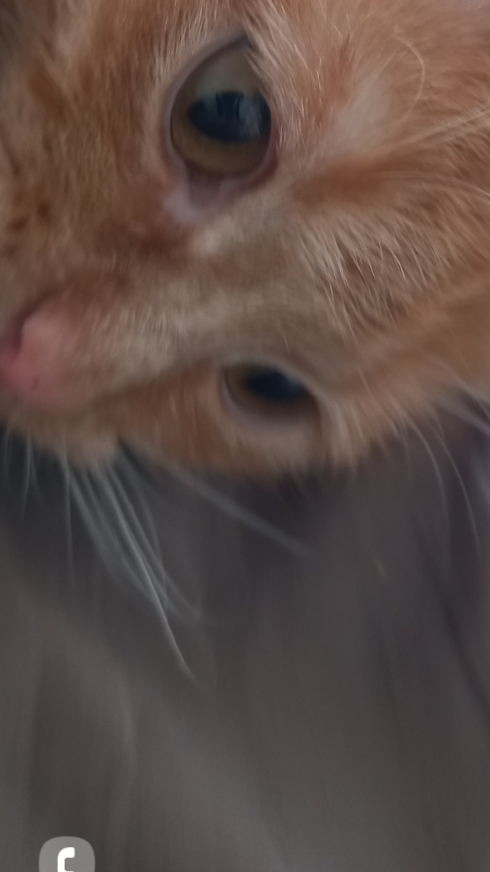 мне жаль про троллинг