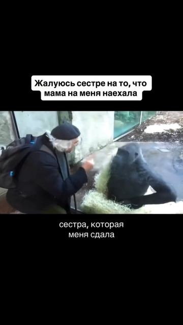 артикул в описании 