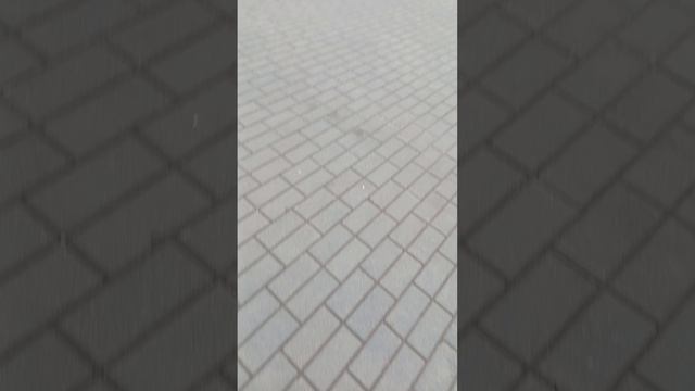 иду в поликлинику 2