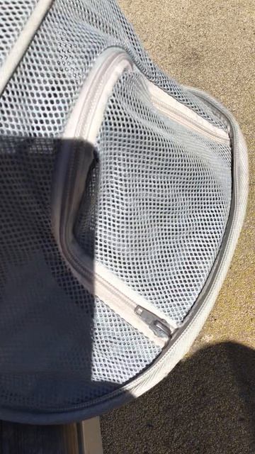 Санкт-Петербург. Проспект Энгельса. 17.04.2026.  Котенок Персик на прогулке.  Эпизод 4