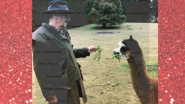 37. Телевизионные страсти 80х - судьбы актеров сериала  Все реки текут