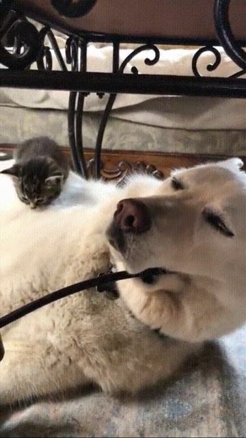 I - 2025-06-24T224041.471