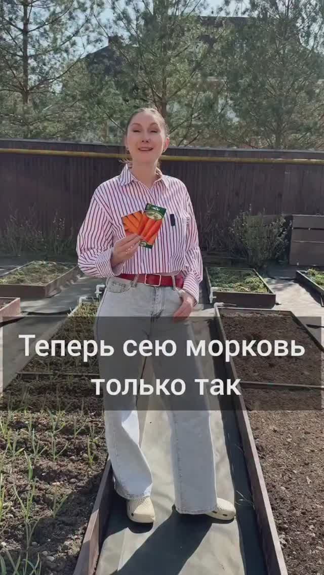 Посев моркови по киселю.