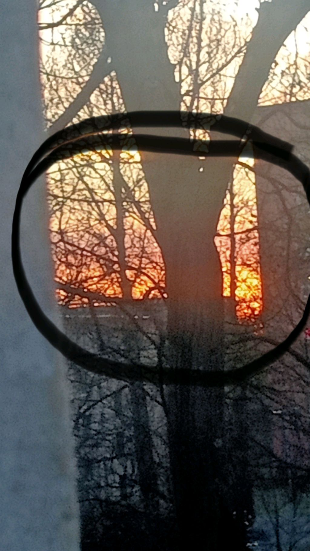 пожалуйста подпишитесь