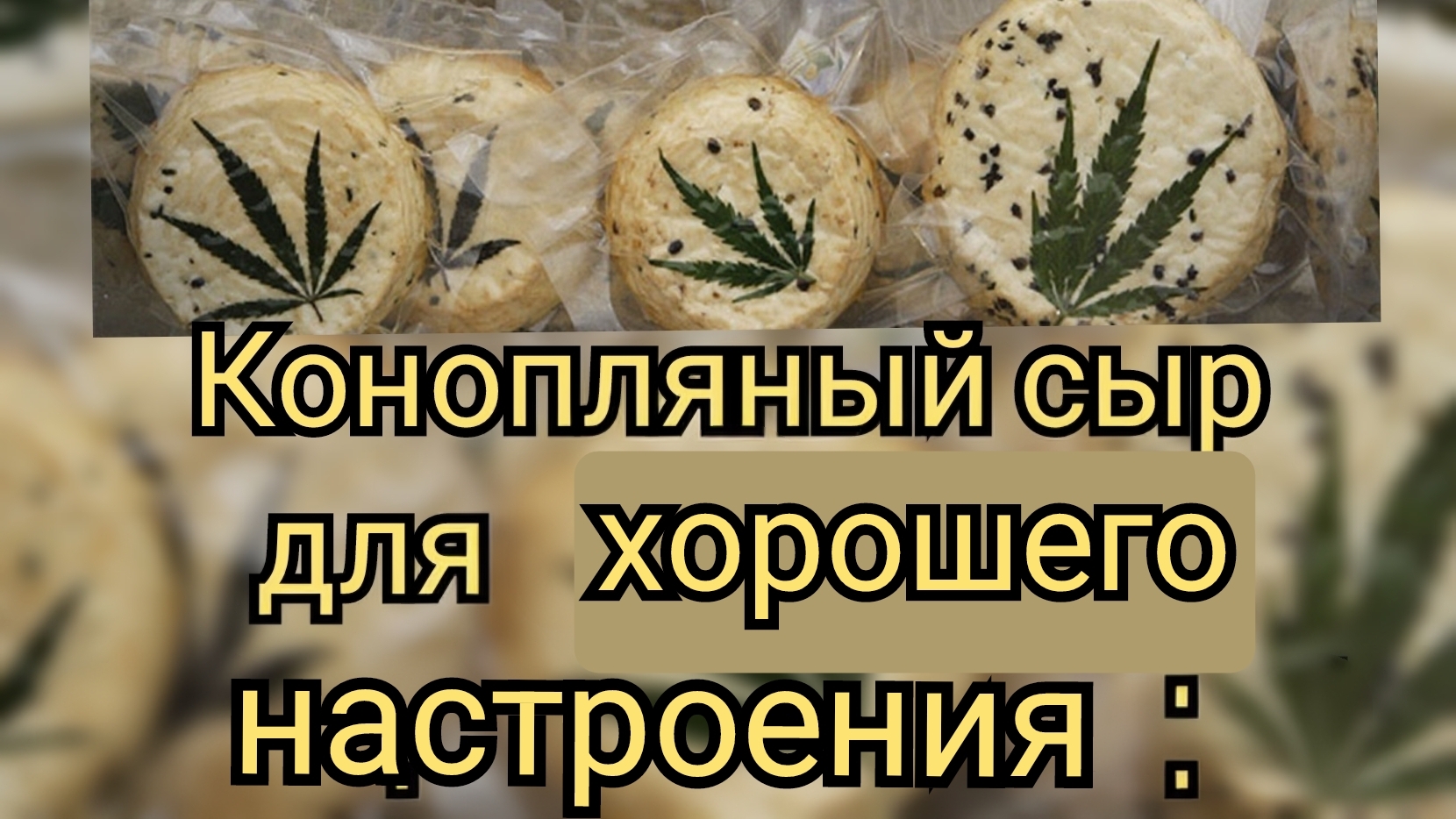 СЫР  ДЛЯ  КРЕПКОГО ЗДОРОВЬЯ
И ХОРОШЕГО  НАСТРОЕНИЯ!