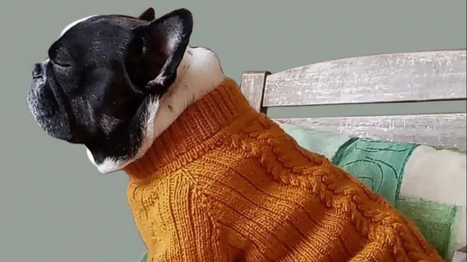 Против такой красоты не устоять. Джемпер для френча. Тест группа по МК начинает работать