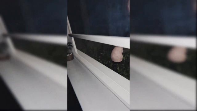 Dont Mess With Pinheads Son LIGHTS ARE OFF TIKTOK