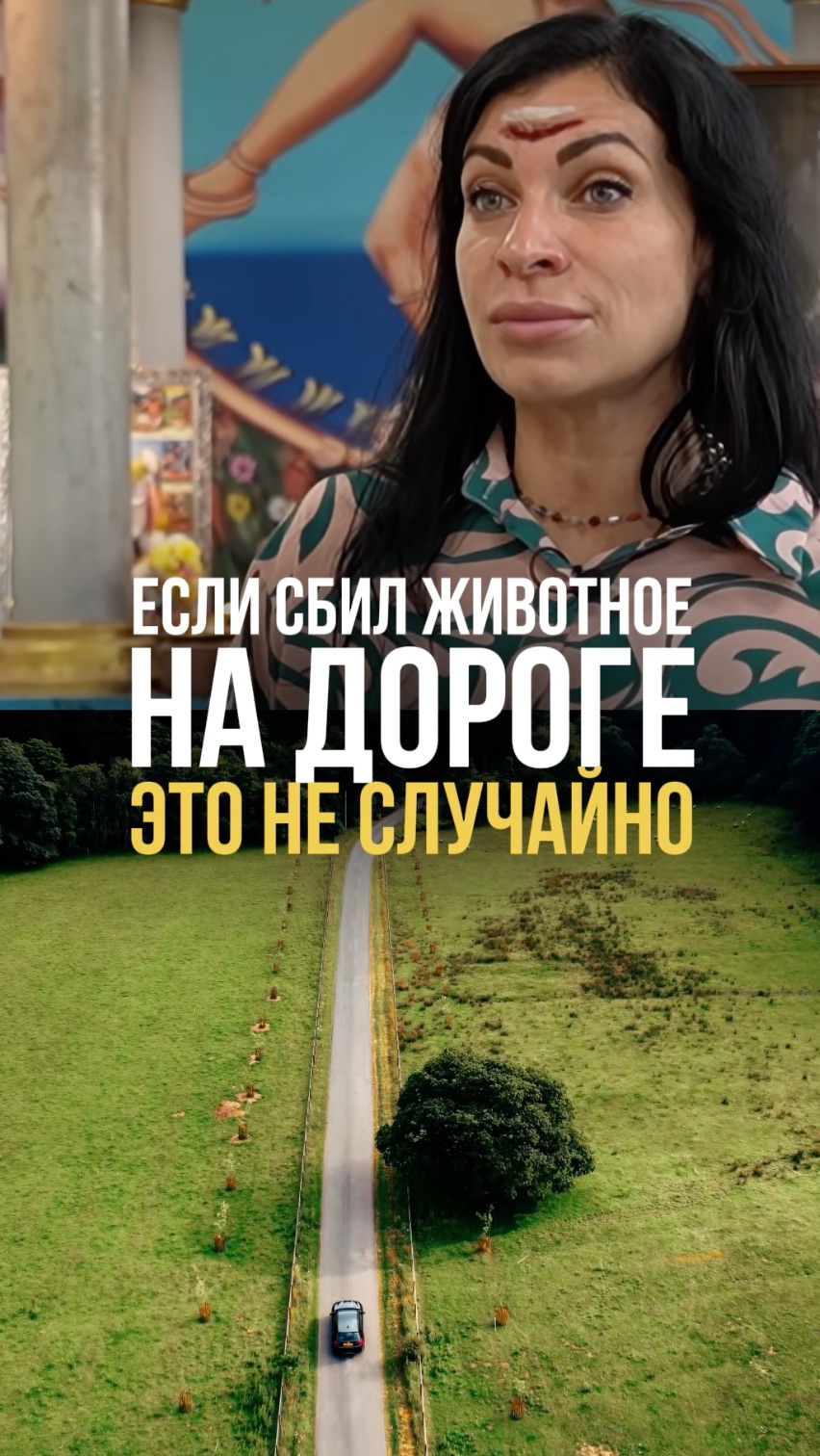 Если сбил жиовтное на дороге это не случано