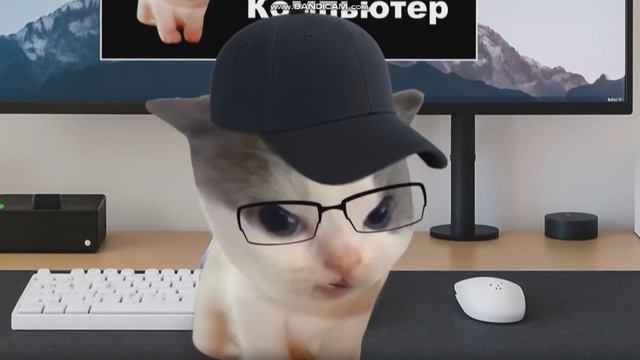 вилли что ты зделал