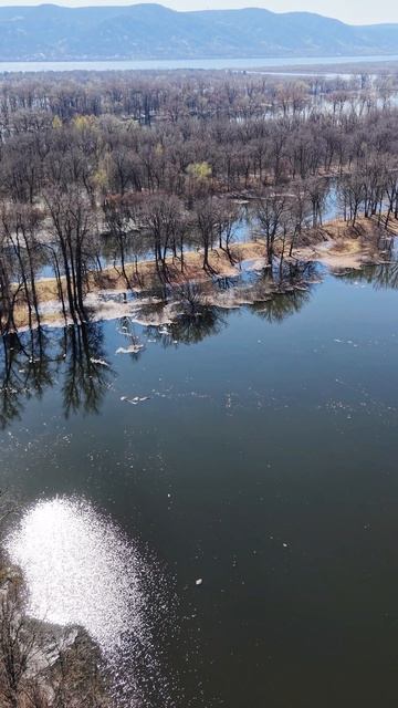 Паводок на Волге и Мастрюковские озëра  поляна им. Грушина Самарская область