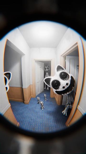 Smile Cat Stopped By For A Visit