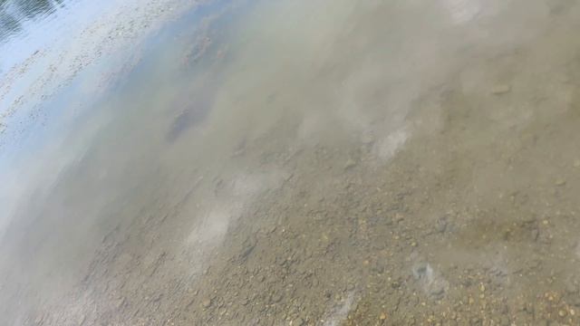 Рыбалка Беляевские карьеры сентябрь 2025