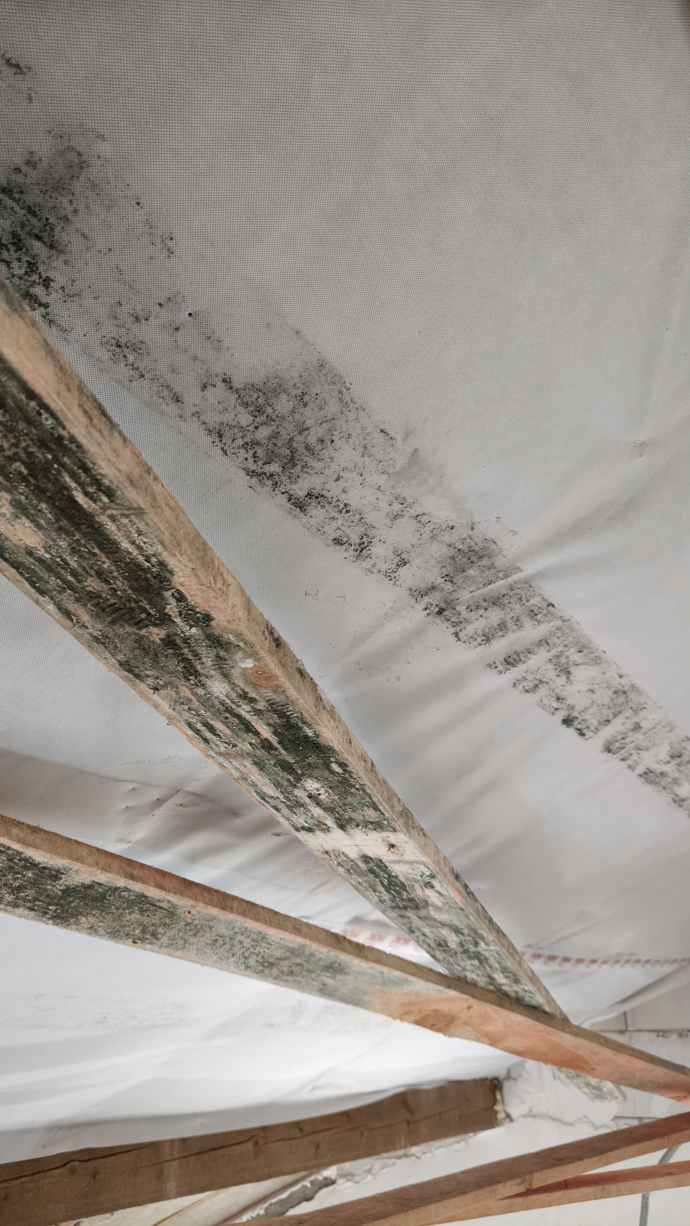 Выявление косяков.