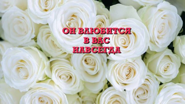 Присушка приворот, чтобы милый в вас влюбился