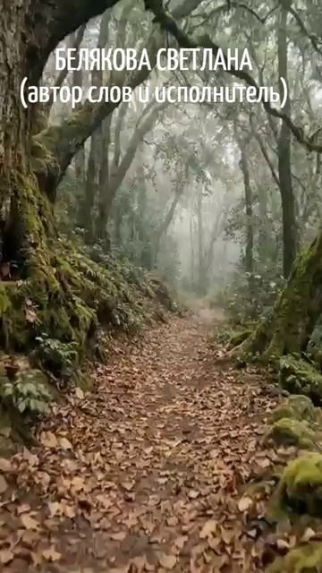 БЕЛЯКОВА СВЕТЛАНА автор слов и исполнитель.  В УДИВИТЕЛЬНОМ МИРЕ!