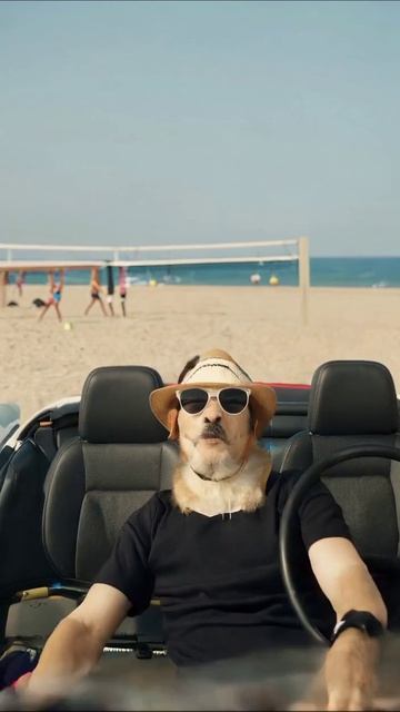 Собака на пляже: веселье вConvertible! собака лето приключение