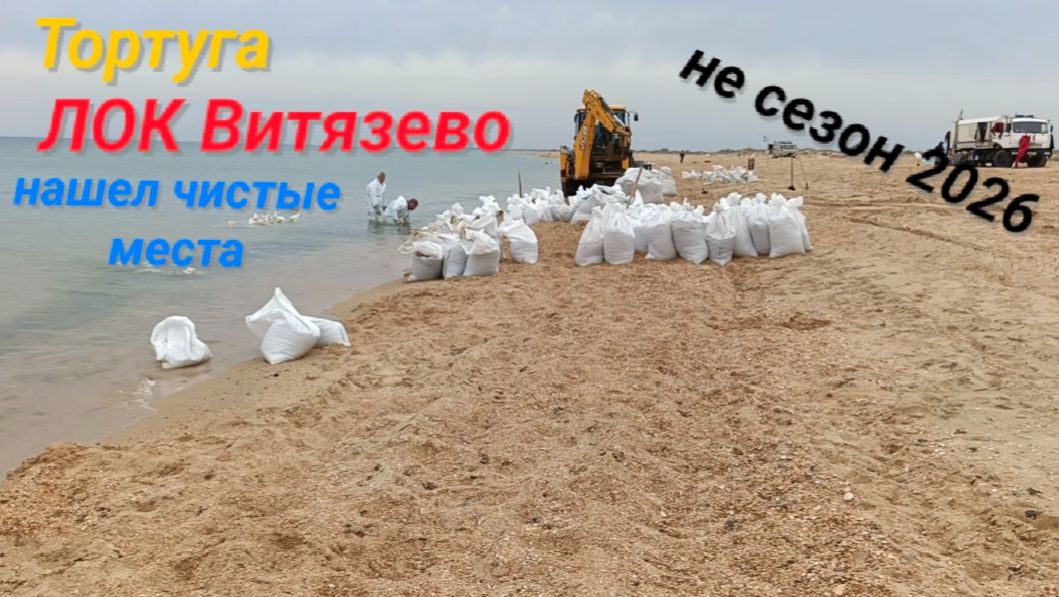 Анапа Сегодня Иследуем Тортугу Витязево 2026