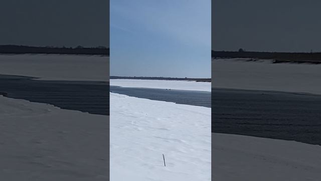 Начало сезона охоты