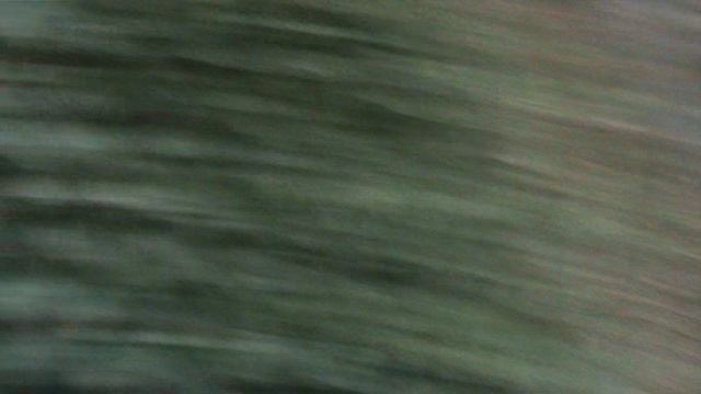 57О БЕРЕНДЕЕВОЕ ЦАРСТВО