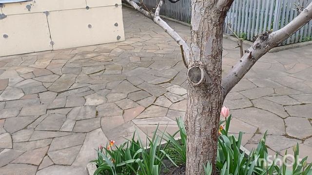 Вот и день прошёл.