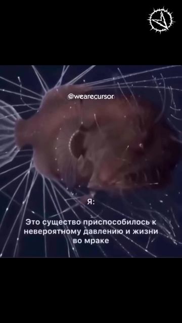 Never Give Up!  Motivation Kypcop курсор этосущество чтотоещё