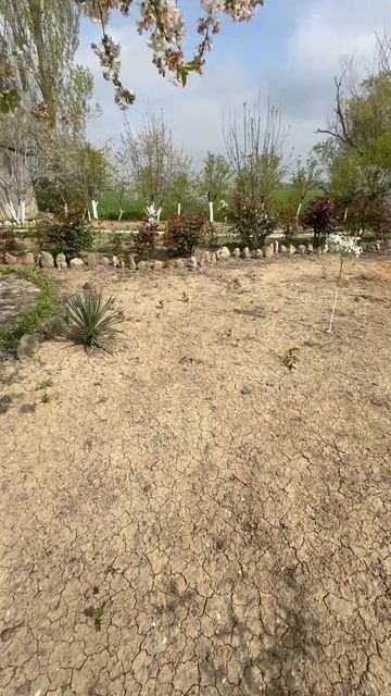 Переезд в деревню!