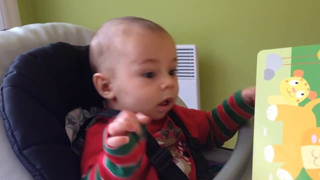 Baby Hears Lion Roar For The First Time
