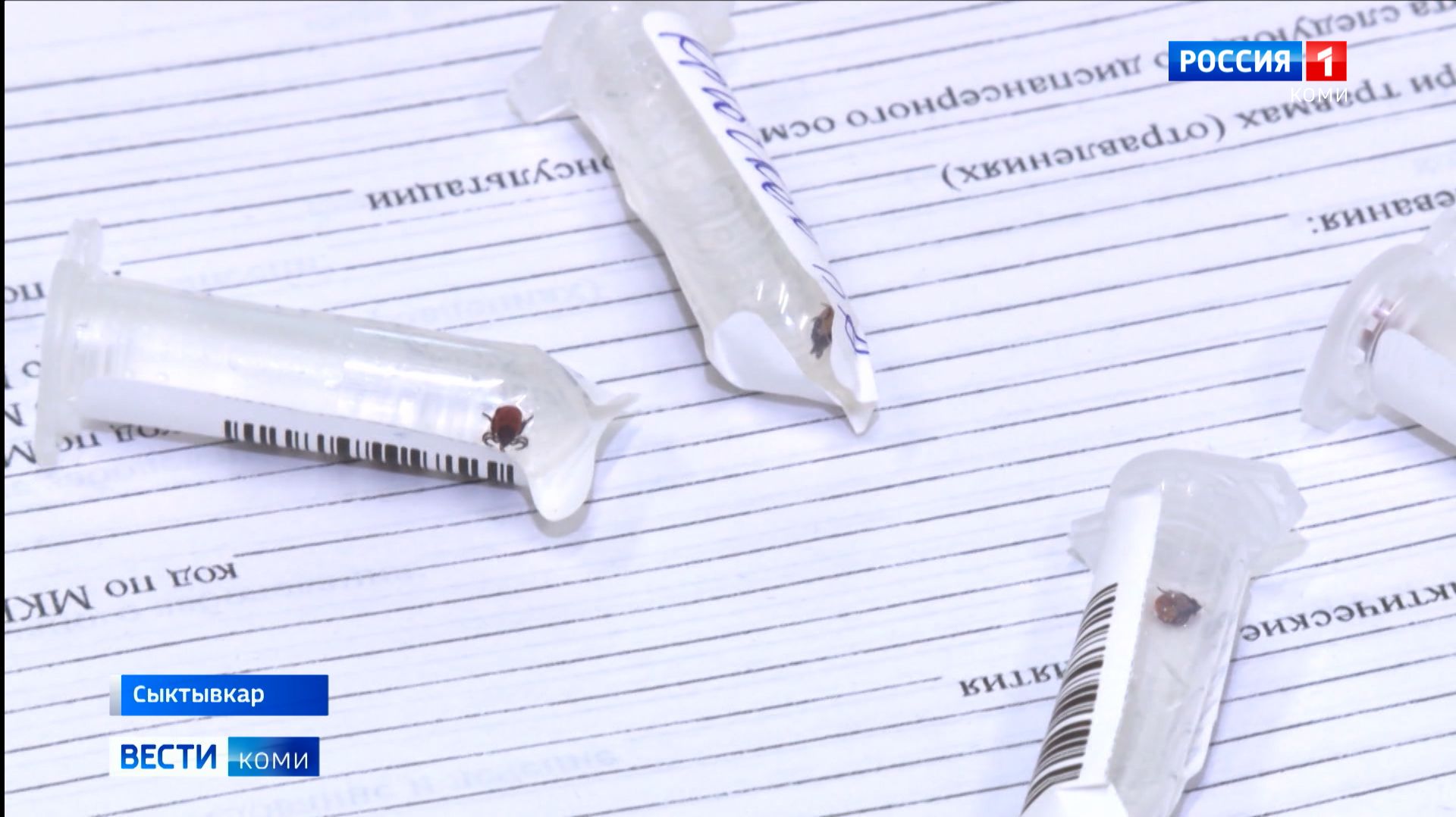 Клещи продолжают атаковать жителей Республики