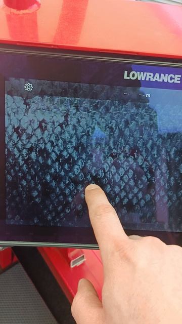 Lowrance Live12