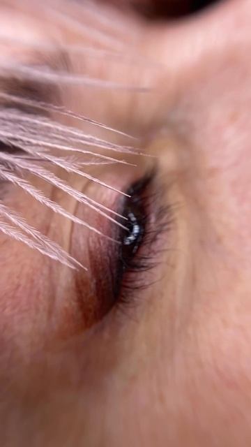 Стрелка с растушевкой  MANERAEVI