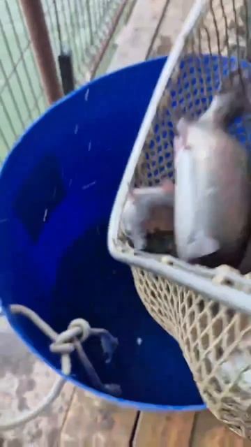 запуск18.04.mp4