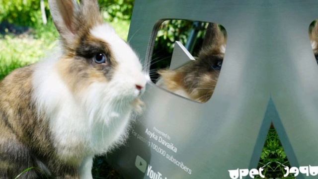 Для канала а ну ка давай ка