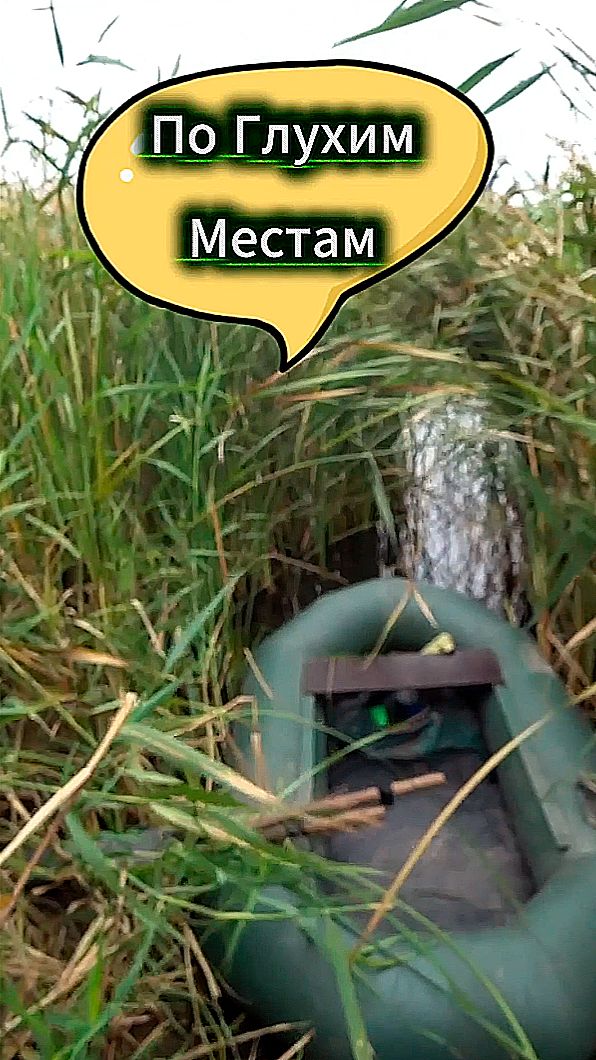 Щука напала на поппер