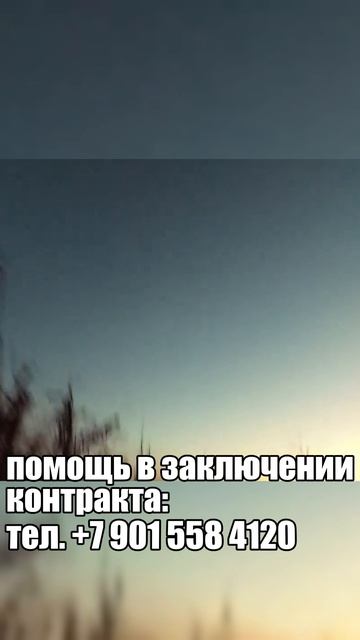 ЭДВАРД:БЕЗУМНАЯ ИСТОРИЯ СПАСЕНИЯ НА БАХМУТЕ Ч1