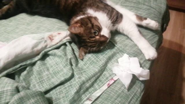 Обзор на злюку 3000 она живая