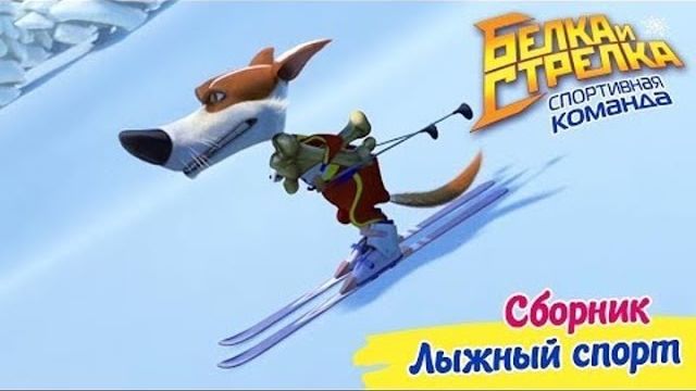 Белка и Стрелка Спортивная команда - Сборник серий про Лыжный спорт Поучительный мультфильм