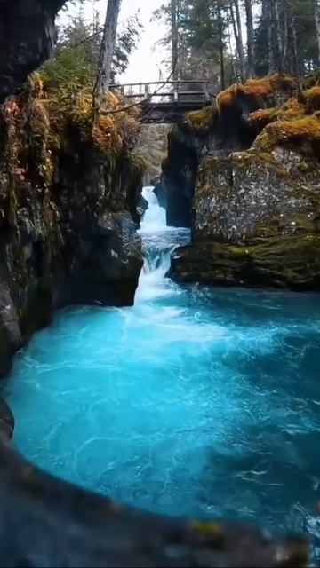 каждый хочет