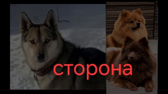 4cd38041b89da2c9f409ef842996b98a