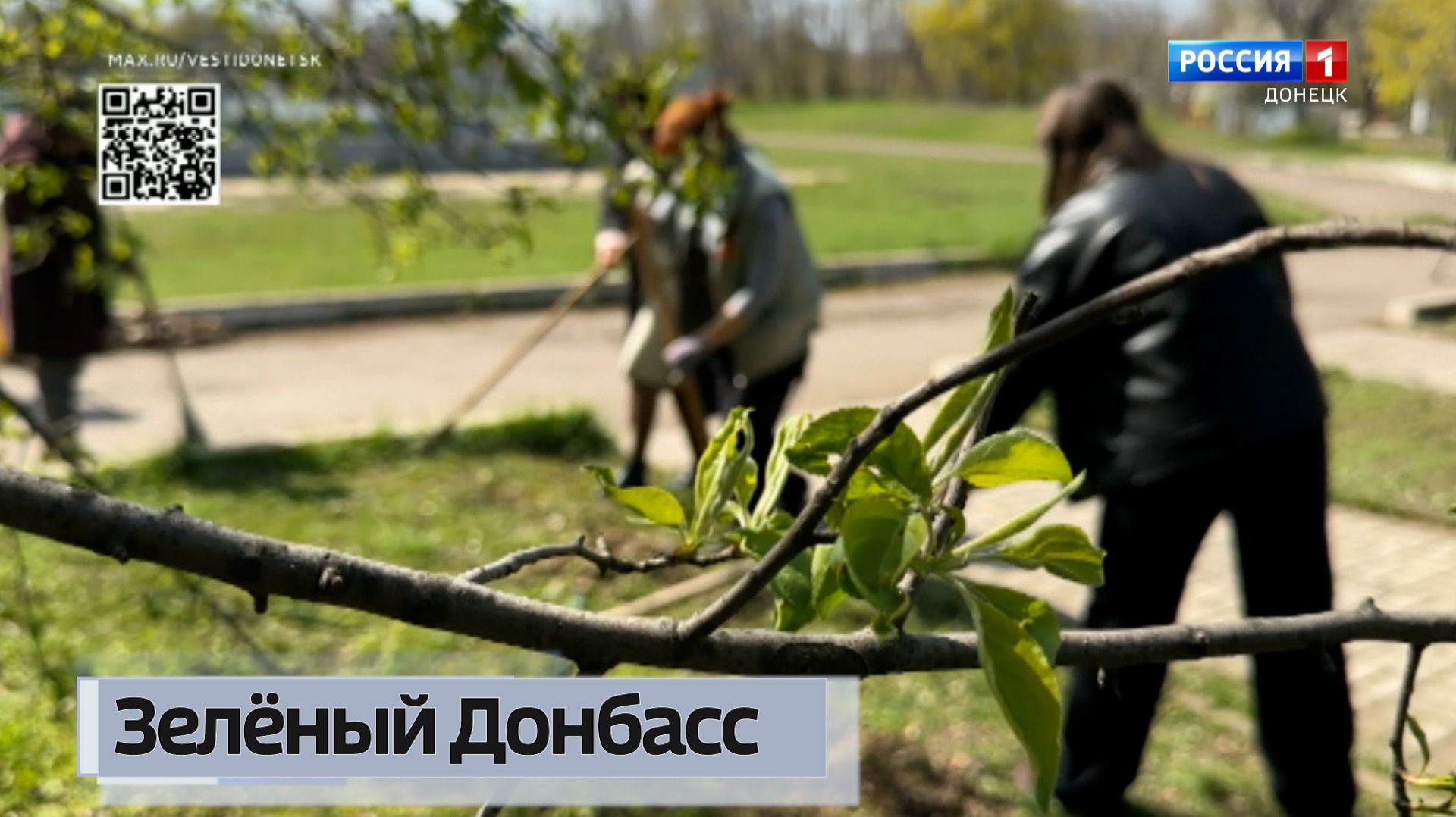 F8d48d2fee59c6a2b272e0dc0064db07